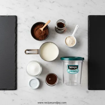 Copycat Wendy's Frosty in Ninja Creami - cooking process